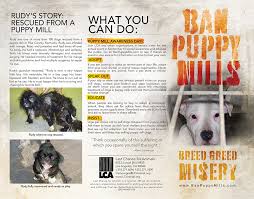 4 days ago in santa clarita, ca. Last Chance For Animals Puppy Mill Awareness Day