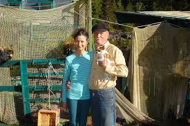 Lack of communication, lack of professionalism, and poor quality. Wayne Adams And Catherine King S Self Built Island Freedom Cove Inhabitat Green Design Innovation Architecture Green Building