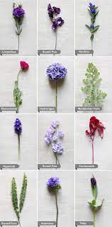 Maybe you would like to learn more about one of these? Purple And Red Wedding Flowers