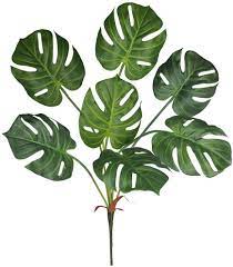 Tips for approximating tropical plants' natural environment indoors from experts at hgtv.com. Amazon Com Winlyn Artificial Tropical Monstera Palm Leaves Plant Tree Faux Real Touch Split Philodendron Monstera Palm Leaf Tree 27 5 Tall For Tropical Wedding Floral Arrangement Indoor Outdoor Decor Kitchen Dining