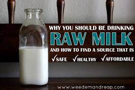 Why You Should Be Drinking Raw Milk Weed Em Reap