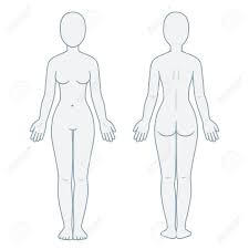 Check spelling or type a new query. Nude Female Body Front And Back View Blank Woman Body Template Royalty Free Cliparts Vectors And Stock Illustration Image 90473269