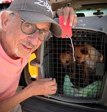 Stacey Doucette's Instagram, Twitter & Facebook