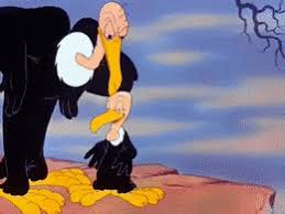 1,894 views, 9 upvotes, 2 comments. Best Beaky Buzzard Gifs Gfycat