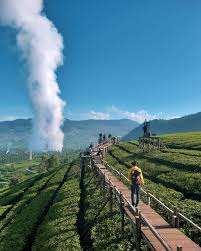 Jadi tak usah takut tutup ketika hendak berkunjung ke wisata alam di lembang ini. Wayang Windu Panenjoan Pangalengan Tempat Wisata Terbaru Di Bandung Selatan Dengan View Kebun Teh Inilah Harga Tiket Masuk Rute Dan Lokasinya