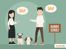 Ab wann sollten sie zur hundeschule gehen? Alles Rund Um Die Hundeschule Markt De