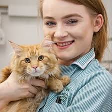 THE BEST 10 VETERINARIANS near FELTHAM TW13 4GE, UNITED KINGDOM