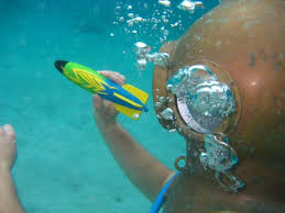 Onderwater Overgooien Picture Of Helm Duiken Curacao Willemstad Tripadvisor