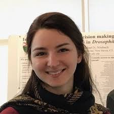 Dr. Meghan Barrett (@Bee_Bytes)