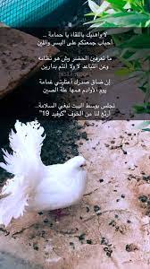 Cheb bechir ya hmema | يا حمامة. ÙŠØ§ Ø­Ù…Ø§Ù…Ø© Ù…Ø¹ Ø§Ù„Ø³Ù„Ø§Ù…Ø© ÙƒÙ„Ù…Ø§Øª