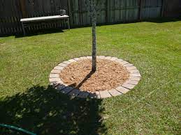 Brick Stone Around Trees Need To Do It Around The Three Huge Trees In The Back Yard Landscaping Around Trees Cheap Landscaping Ideas Outdoor Gardens