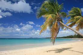 Der mit der blauen flagge ausgezeichnete strand bietet einige bars und kleinere restaurants. Die 7 Schonsten Strande Auf Martinique Im Uberlick