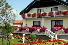 Šta od toga će biti u pitanju zavisi od atmosfere sna. Neverovatna Infuzija Za Cvece Oporavlja Pospesuje Rast Biljaka A Pravi Se Od Samo 2 Sastojka