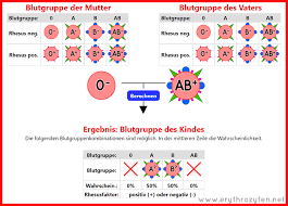 Intelligence agencies are interested in a certain carrier of rh negative blood.they are looking for people who have a complete deletion of the rhd gene. Blutgruppe Ab Universalempfanger