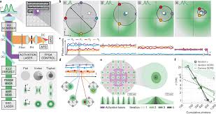 Bacteria can be found in a variety of shapes and sizes. Minflux Nanoscopy Delivers 3d Multicolor Nanometer Resolution In Cells Nature Methods