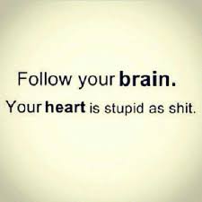 Pin By Traci Newell On Giggles Funny Quotes Quotes Words
