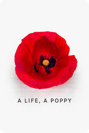 5% discount for usaa members when they get motorcycle insurance with agency provider. On Memorial Day Find Ways To Honor Our Fallen Military Service Members At Usaa Com Poppyinmemory Memorial Day Flower Art Memories