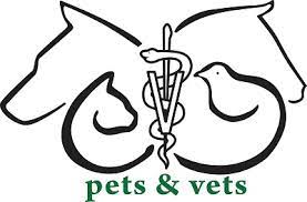 You can see how to get to pets & vets animal clinic on our website. Veterinarian In Miami Beach Fl Pets And Vets Animal Clinic