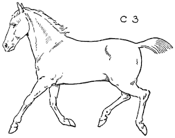 Horses have been given many jobs to do. How To Draw Horses With Easy Step By Step Drawing Lessons Page 2 Of 2 How To Draw Step By Step Drawing Tutorials