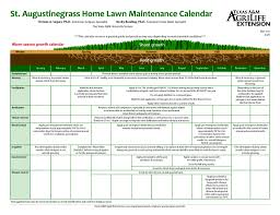 Warm season lawn care schedule infographic. Agrilife Extension St Augustine Guides Available Online Agrilife Today