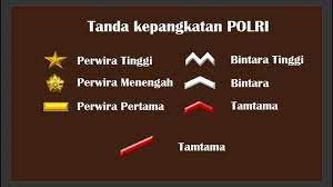 We did not find results for: Ini 22 Tanda Pangkat Di Polri Dari Tertinggi Ke Terendah Halaman All Tribunmanado Wiki