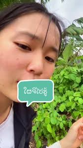 ຮຽນພາສາຈີນຊ່ວຍສໍາເລັດຊີວິດ