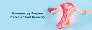 Hysteroscopy Procedure: Steps, Costs ...