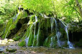 Parcul a fost declarat parc national datorita biodivesitatii, florei, faunei si a traditiilor populare din zona. Parcul National Cheile Nerei Beusnita Patru ZÄri