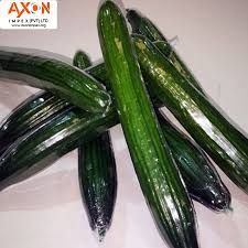 We did not find results for: Frische Gurke Zucchini Englische Gurke Pakistani Sche Frische Gurke Buy Japanese Cucumber Persian Cucumber Seasonal Cucumber Fresh Cucumber Long Cucumber Zucchini Pickling Cucumbers Cumbers Cucumis Sativus English Cucumber Cucumber Salad Cucumber