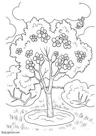 Hello dear friend colouring mermaid, terbaru apple tree coloring page is one image that is quite famous for a long time. Apple Tree Apple Life Cycle Coloring Pages Teachersmag Com Tree Coloring Page Easter Coloring Pages Christmas Coloring Pages