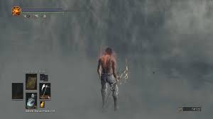 Nameless King NG+3 in 50 seconds. I actually completely messed up my ring  swap lol