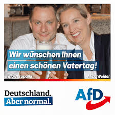 Alice weidel hat neue heimat in der schweiz: Alice Weidel Alice Weidel Twitter