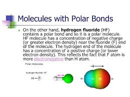1 Molecular Polarity 2 Polar Molecules Polar Molecules Are Molecules That Have A Slightly Positive End Or Pole And A Slightly Negative End Or Pole The Ppt Download