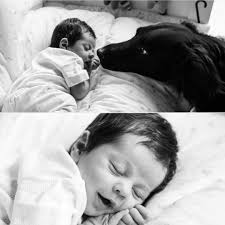 Stefania Rizzo (@stefy_rizzo_fotografia) • Instagram photos and videos