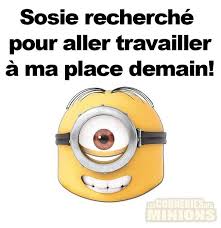 Sosie Recherche Pour Aller Travailler A Ma Place Demain Blagues Mignonnes Blague Minion Meilleur Blague
