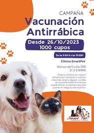 Clinica Veterinaria Smartpet