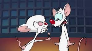 Pinky And The Brain Gif Find Share On Giphy Animaniacs Brain Gif 90s Cartoon