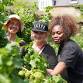 Hazel Walk Community Allotment Work Day event image