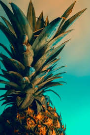 You can also upload and share your favorite iphone x 4k wallpapers. 60 Stunning 4k Iphone Wallpapers And Images Inspirationfeed