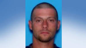 Deceased body found in burned Brighton house