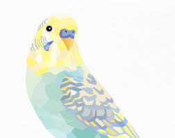 Budgie On Etsy A Global Handmade And Vintage Marketplace Parakeet Art Green Budgie Bird Drawings