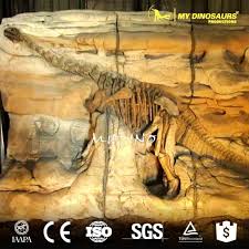 We did not find results for: Fiberglass Real Size Dinosaur Fossils Wall For Sale