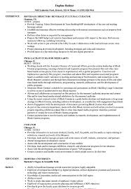 The job search competition is fierce and you need to stand out. Curator Resume Samples Velvet Jobs