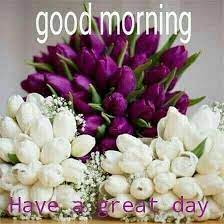 The most comprehensive image search on the web. Rani Gill On Twitter Goodmorning Flowers New Day Bank Holiday New Week Tuesday Welco Wow Fresh Day Happy Morning New Day N Week End Of Month 29th Of May