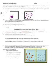 • semi permeable membrane (m) • area of higher water concentration (hc) • area of lower water concentration (lc) • direction of osmotic flow. Diffusion And Osmosis Worksheet 3 Doc Diffusion And Osmosis Worksheet Name Diffusion Is The Movement Of Particles From Areas Of Higher Concentration Course Hero