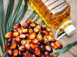 Live price charts, forecasts, technical analysis, news.crude palm oil and malaysia palm oil boring. Palm Oil Prices Up Over 2 As Malaysia Slashes Export Duty Set For Weekly Gain The Economic Times