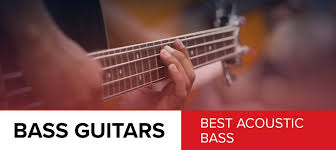 9 Best Acoustic Bass Guitars 2019 Reviews