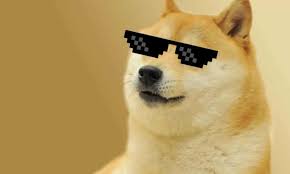 We've got some amusing bitcoin memes and tweets both old and fresh for anyone who's either curious about crpyto for the first time or obsessive. What Is Dogecoin And How Do You Invest In It Knowtechie