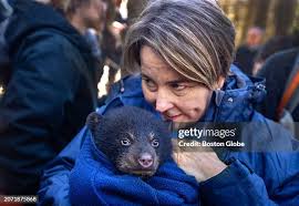 39 Pelham Massachusetts Stock Photos, High-Res Pictures, and Images