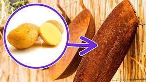 pastan 5 dakikada kurtulmanin 8 kolay yolu youtube